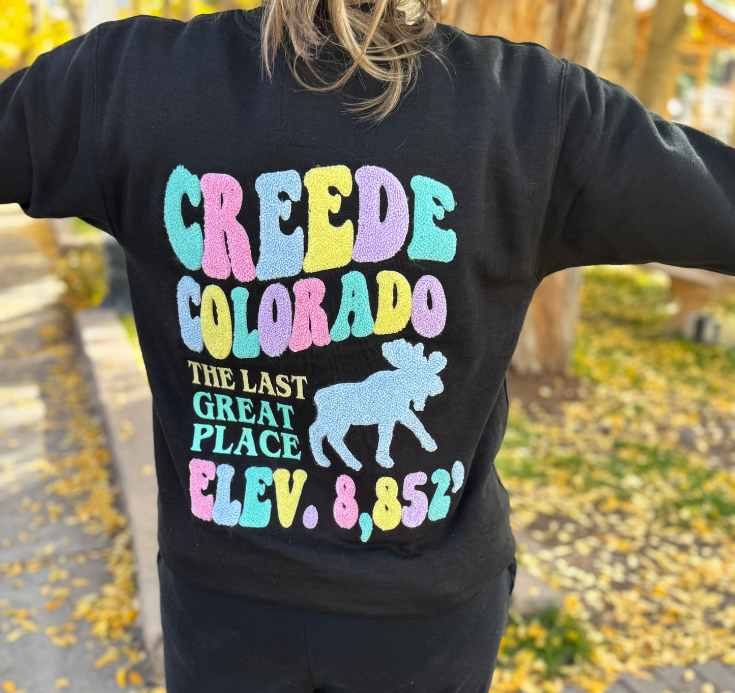 Blk Chenille Creede Embroidered