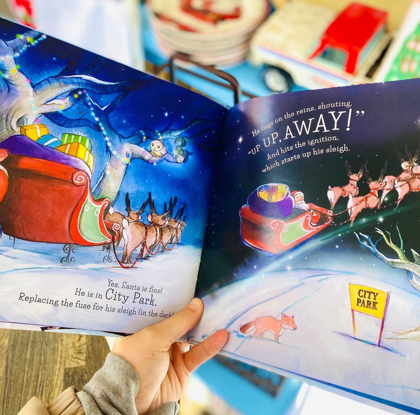 Santa Colorado Christmas Book