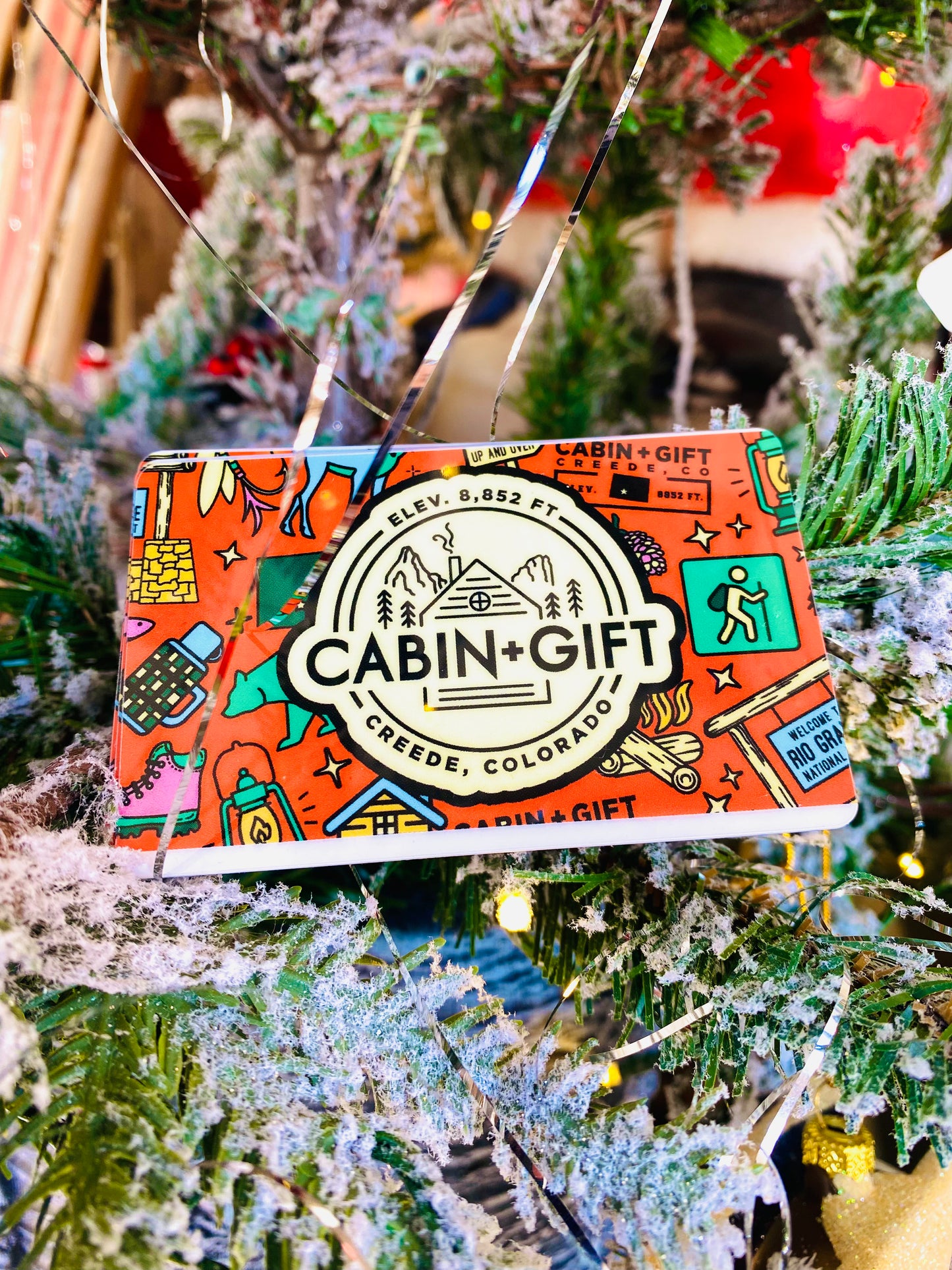 Cabin + Gift Gift Card