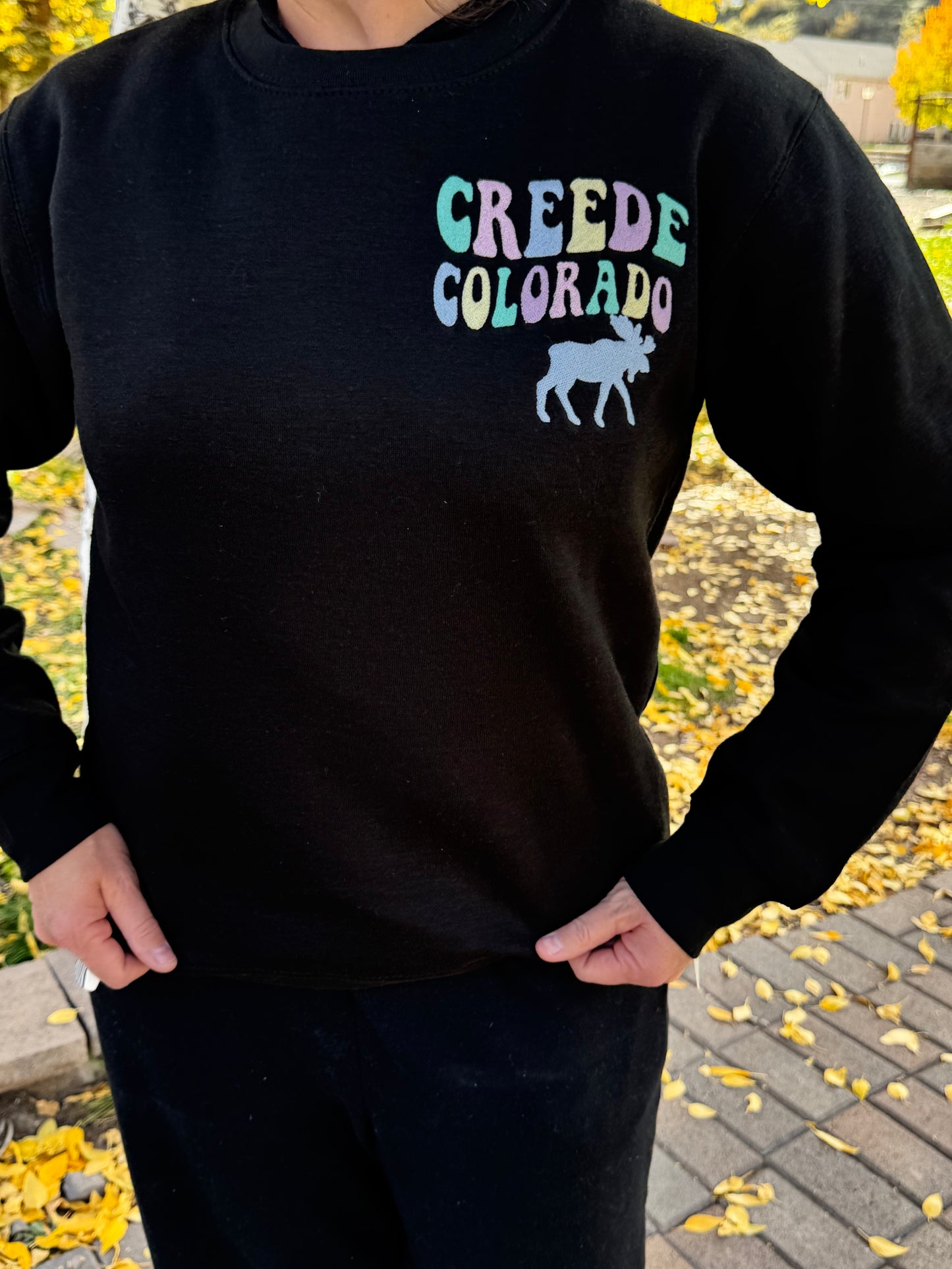 Blk Chenille Creede Embroidered
