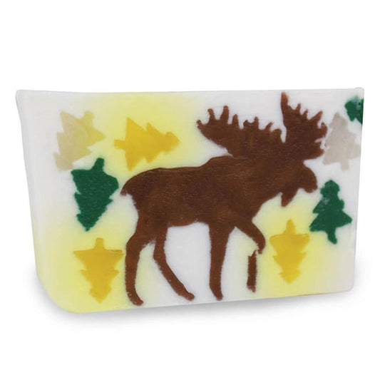 Fun Soap Bar